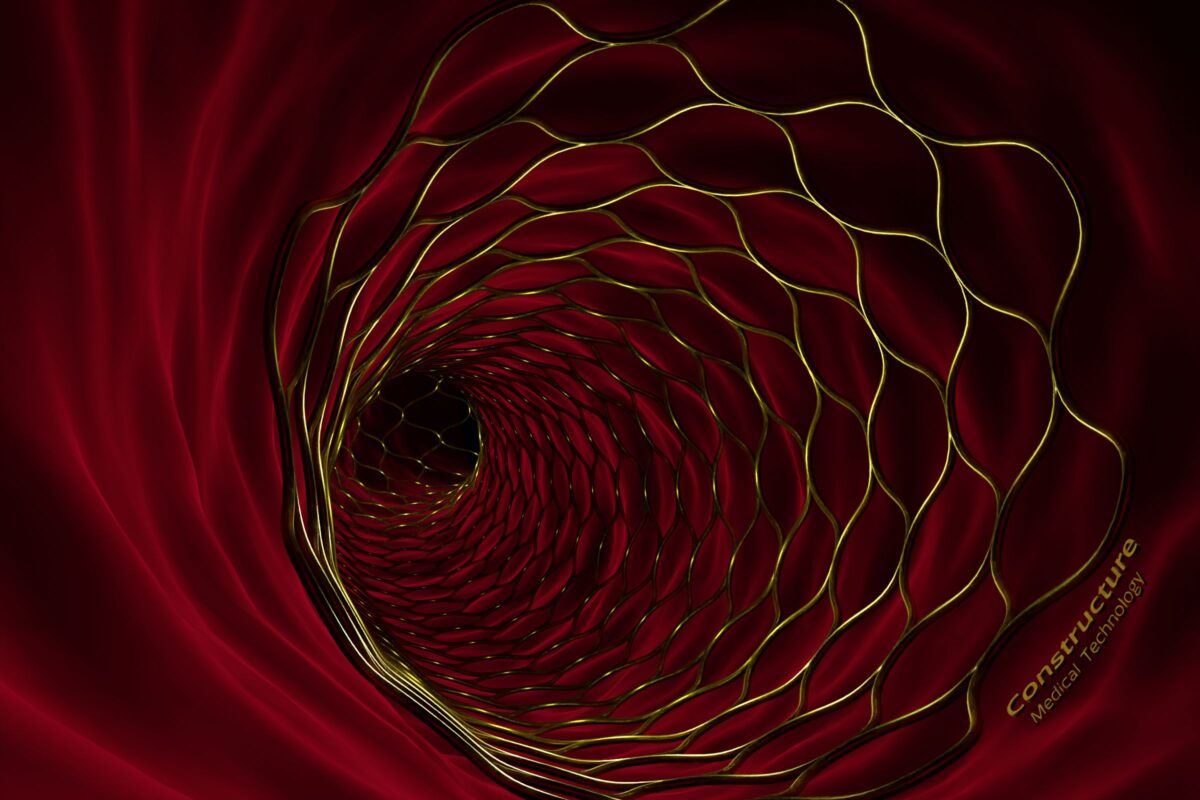 StentBlend_MediTechv2